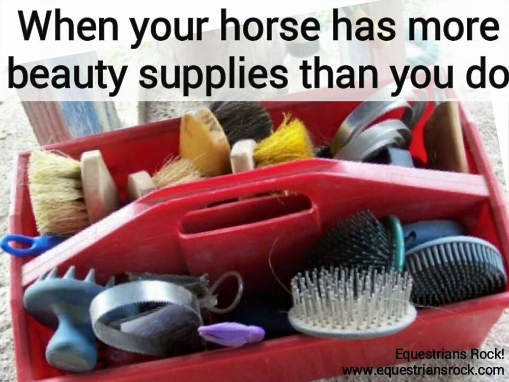When Your Horse Has More Beauty Supplies Than You Do